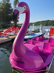 Tretboot Flamingo